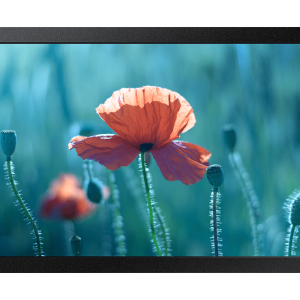 Samsung 13'' Edge LED FHD 300 NIT 16/7 Hour Panel